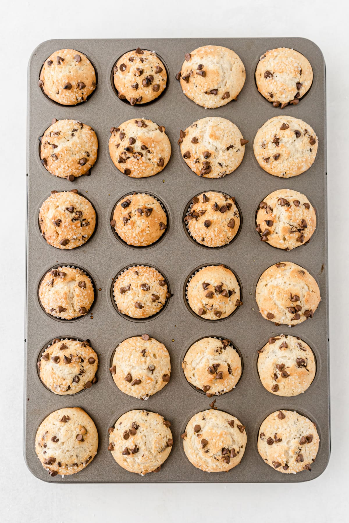 Mini chocolate chip muffins baked in tin