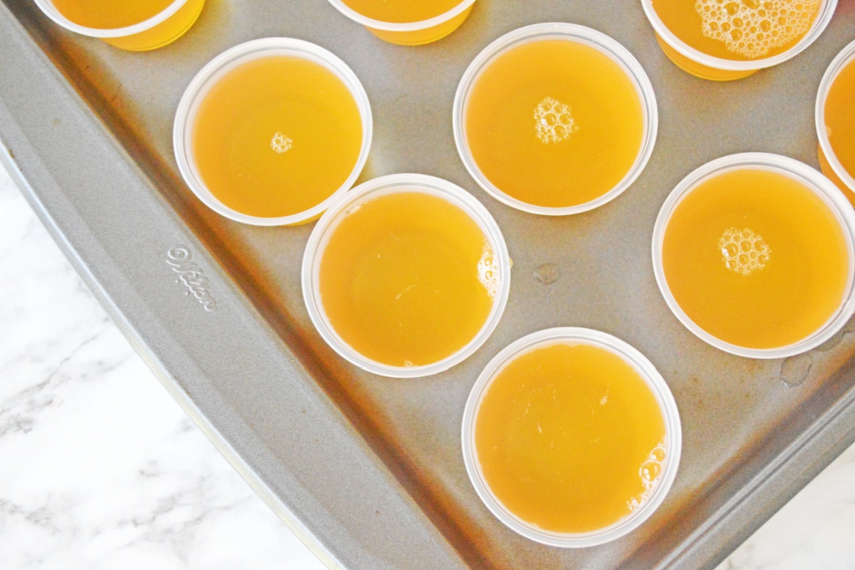 Apple cider jello shots without whipped cream