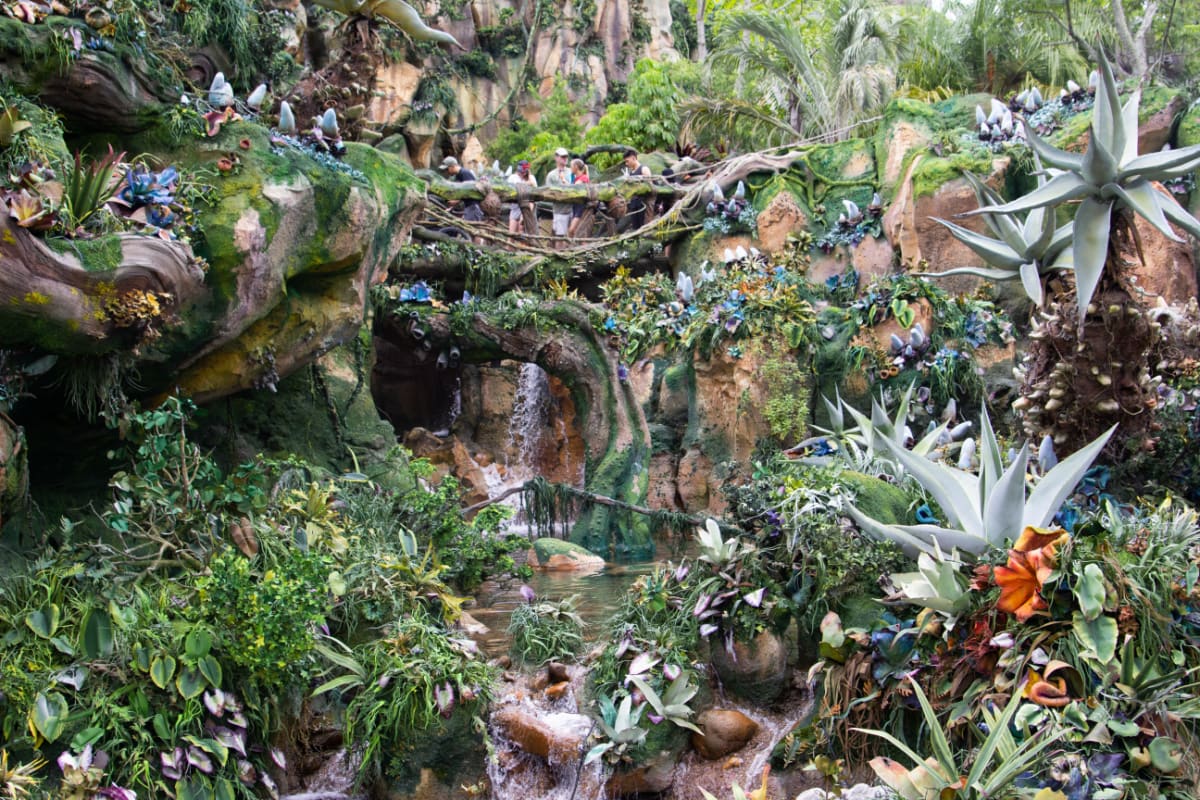 Plants and flowers of Pandora