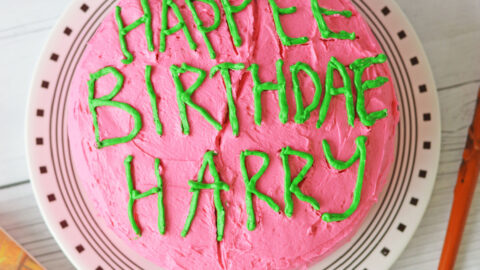 Hagrids 11th Birthday Cake for Harry Harry Potter and the Sorcerers  Stone book  TV DINNER