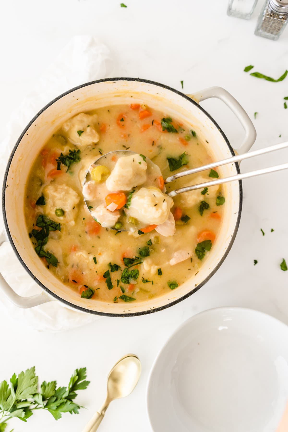 Ladle with chicken and dumpling soup