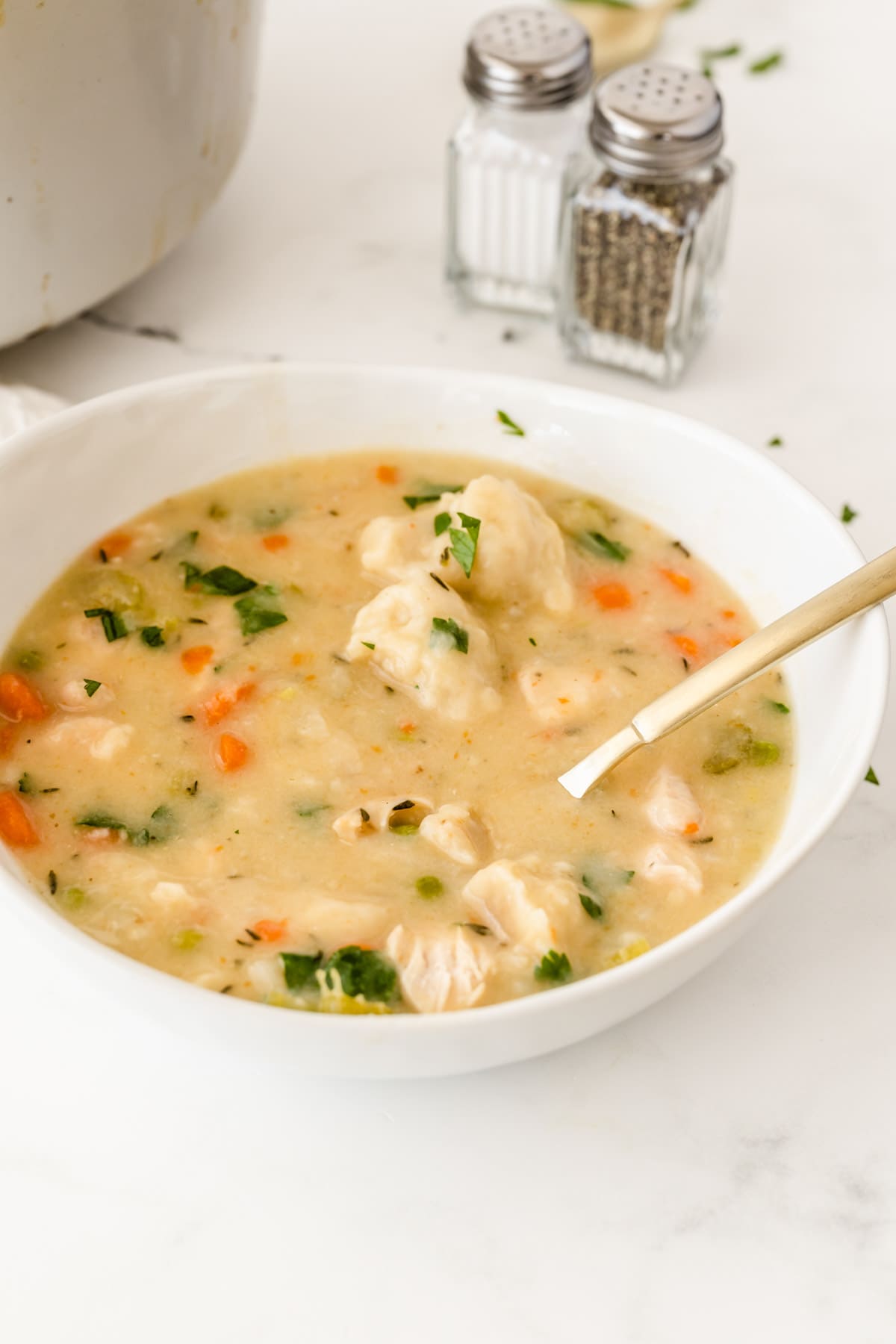 Bowl of chicken and dumpling soup