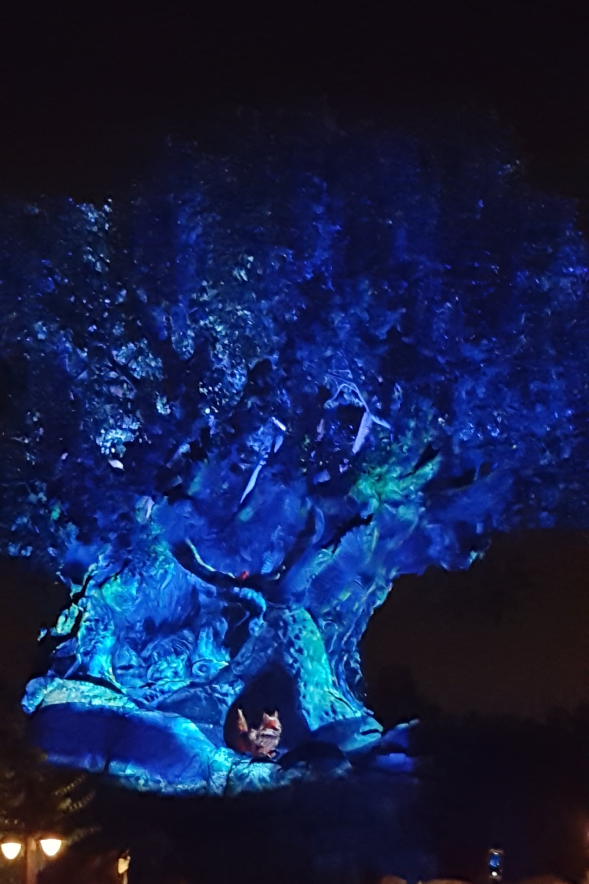 Tree Of Lifelit up at night