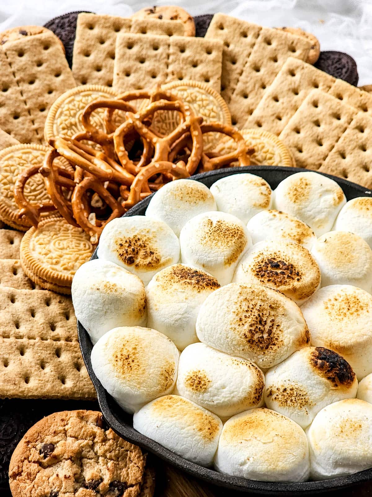 S'mores charcuterie board with roasted marshmallow dip