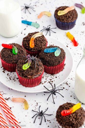 Dirt cupcakes with worms and spiders