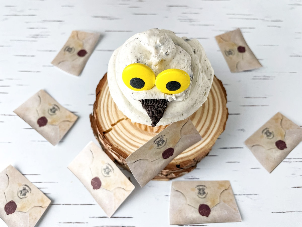 Owl cupcake from above