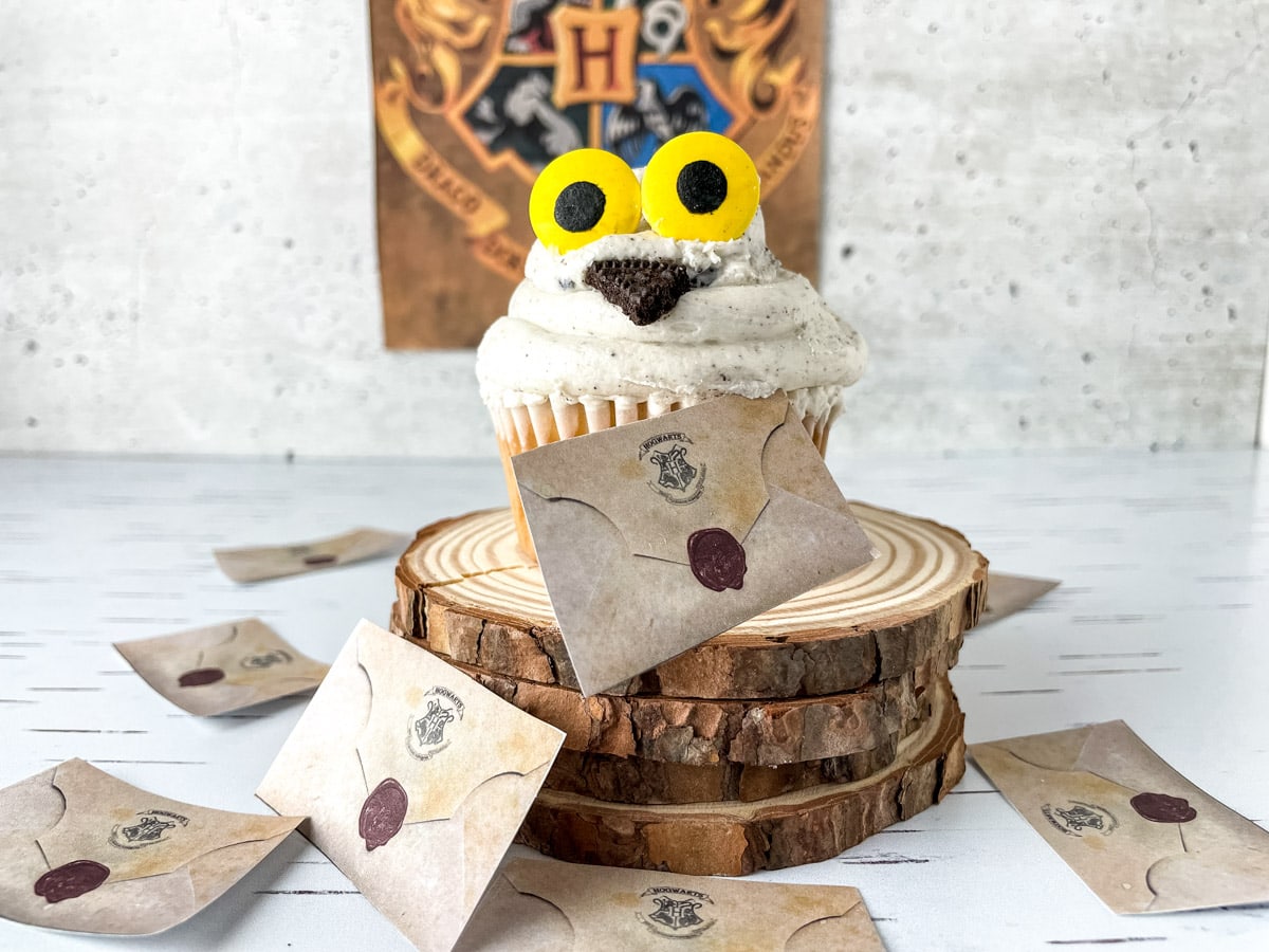 Harry Potter owl cupcake with Hogwarts acceptance letter