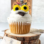 Owl Cupcakes for recipe card