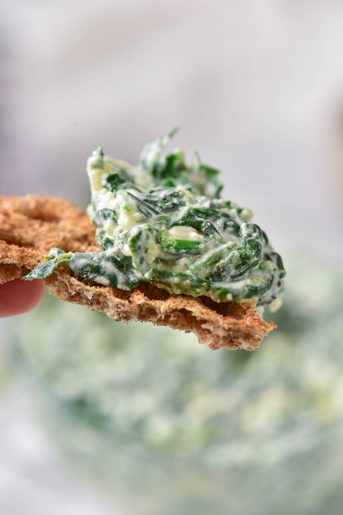 Cracker with spinach dip