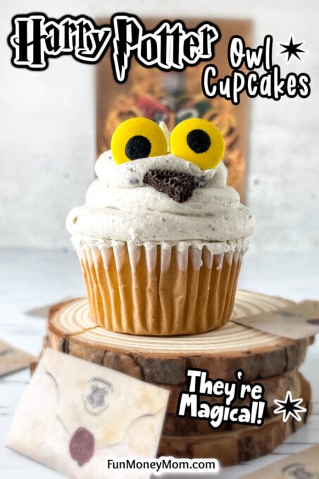 Harry Potter owl cupcakes #3