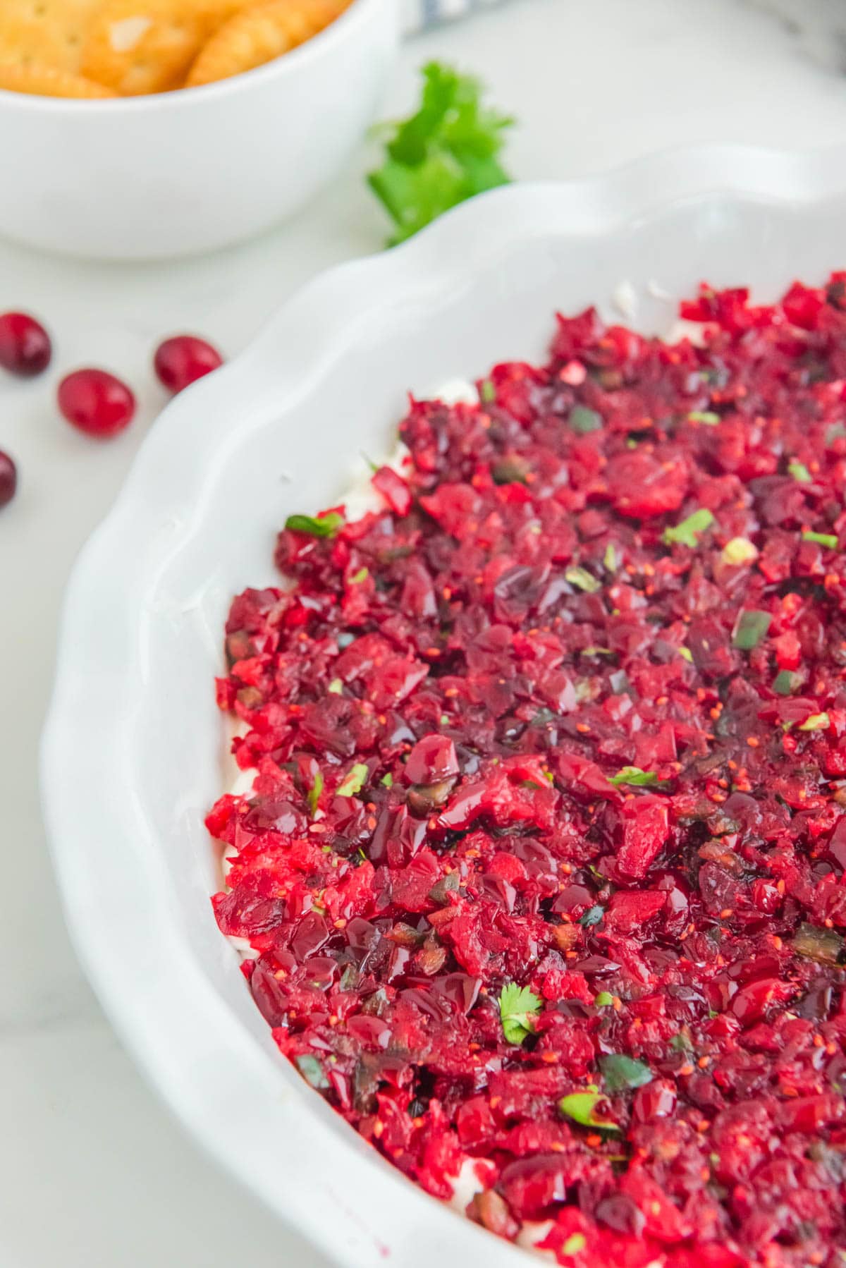 Cranberry dip in bowl