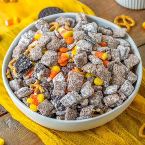 Halloween Puppy Chow square
