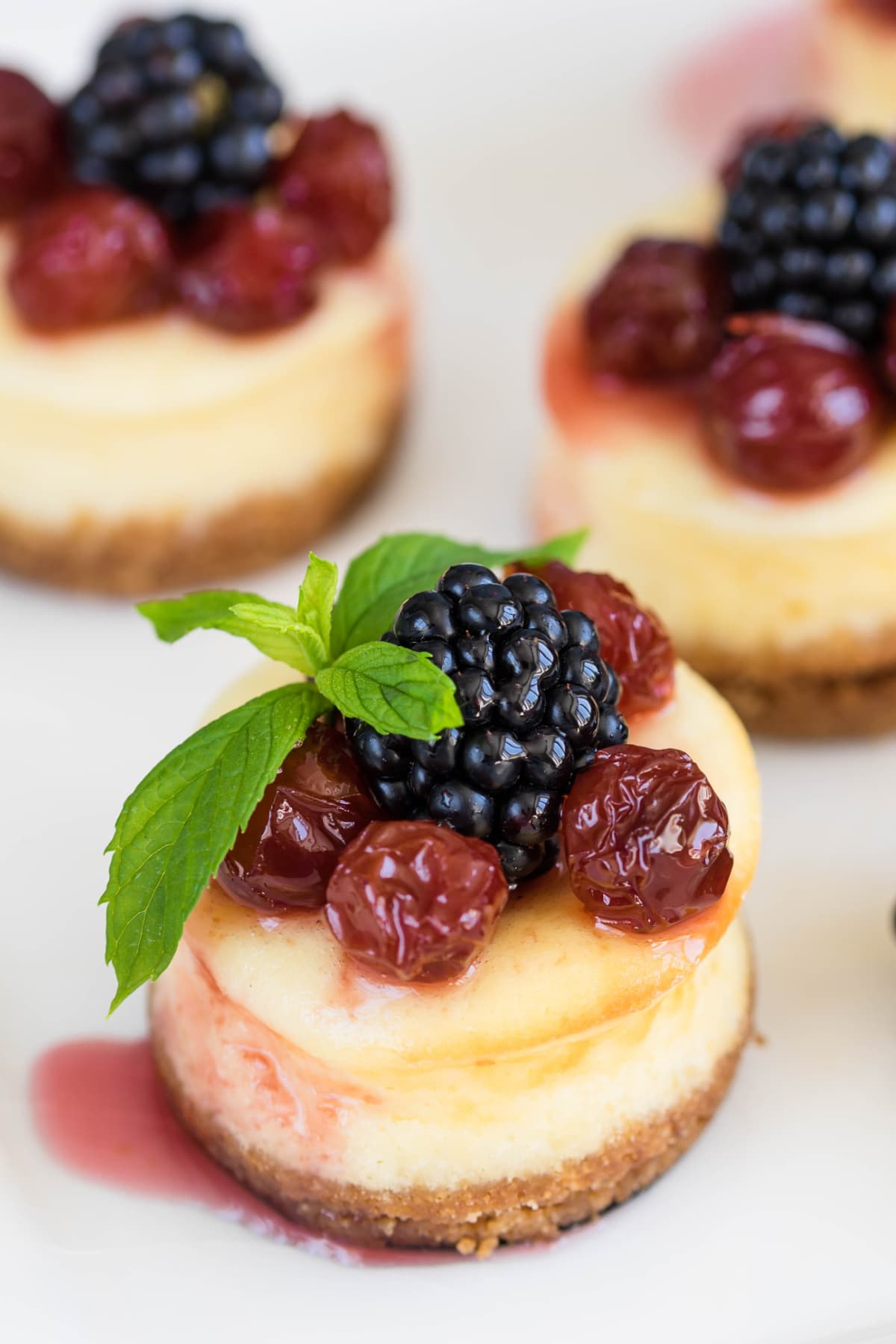 Mini cheesecake with cherry and blackberry on a plate
