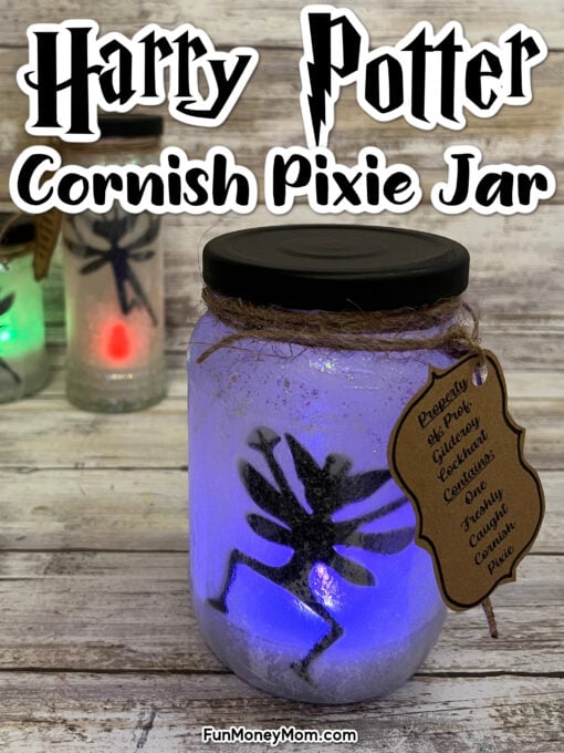 Harry Potter Cornish Pixie Jar pin 1