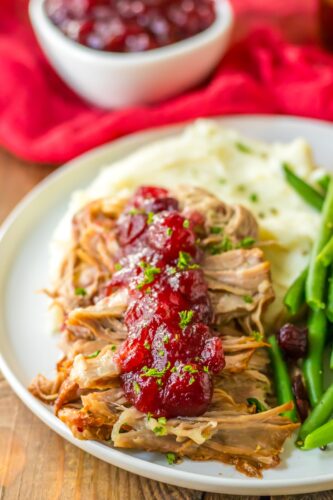 Pulled pork with cranberry sauce and green beans on a plate.