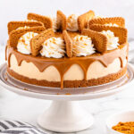 A cheesecake with whipped cream and Biscoff topping