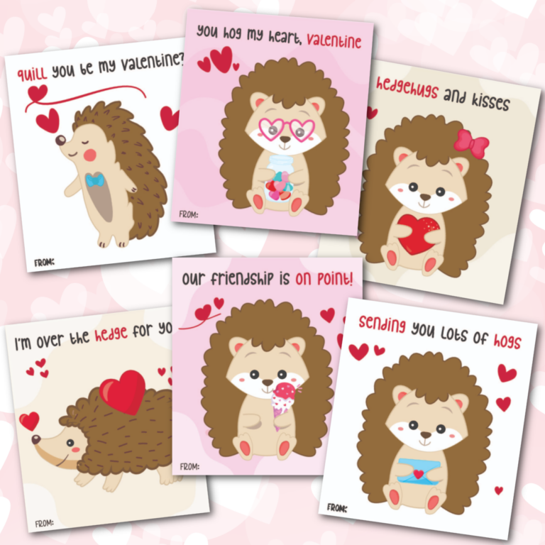 Cute Hedgehog Valentine Cards