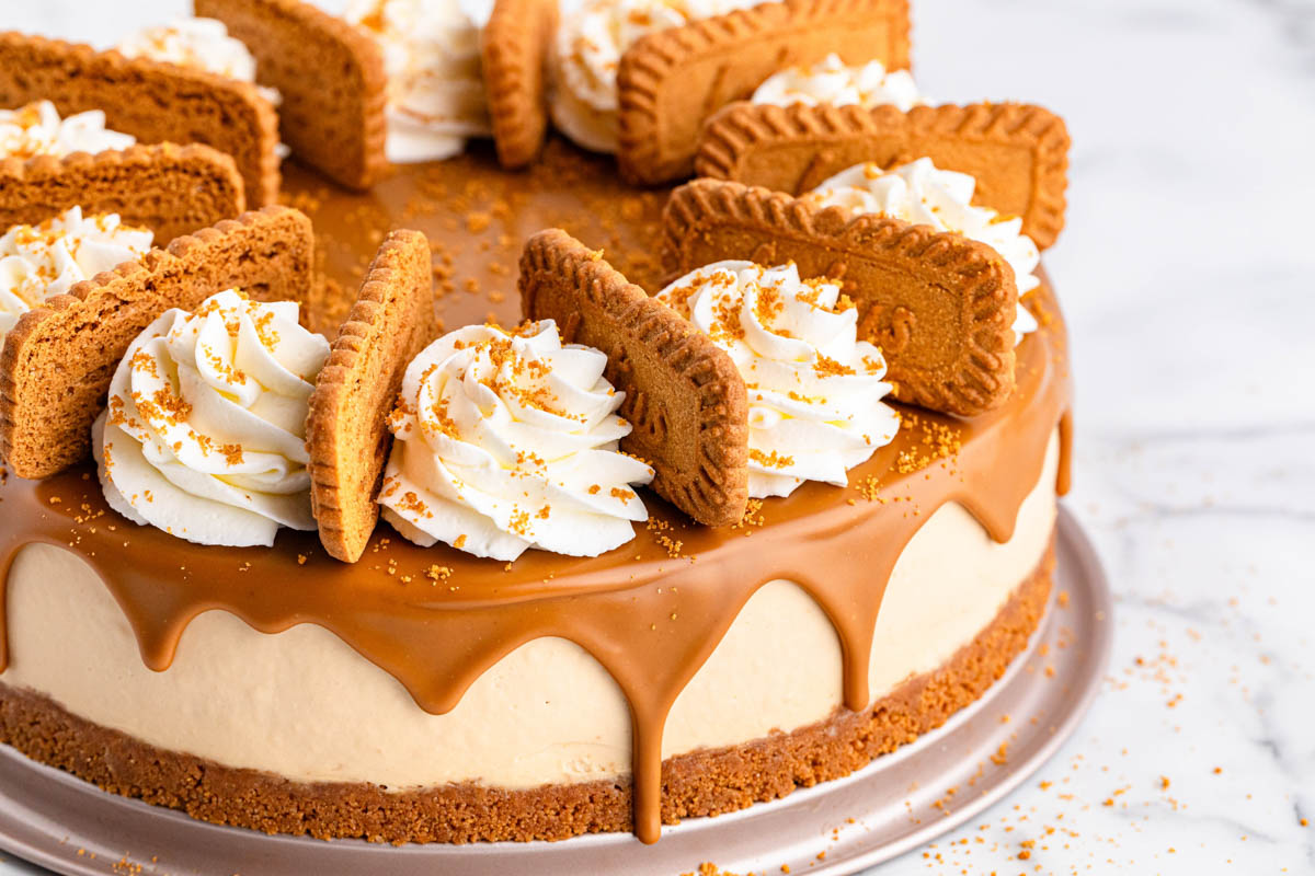 A cheesecake decorated with cookies and whipped cream.