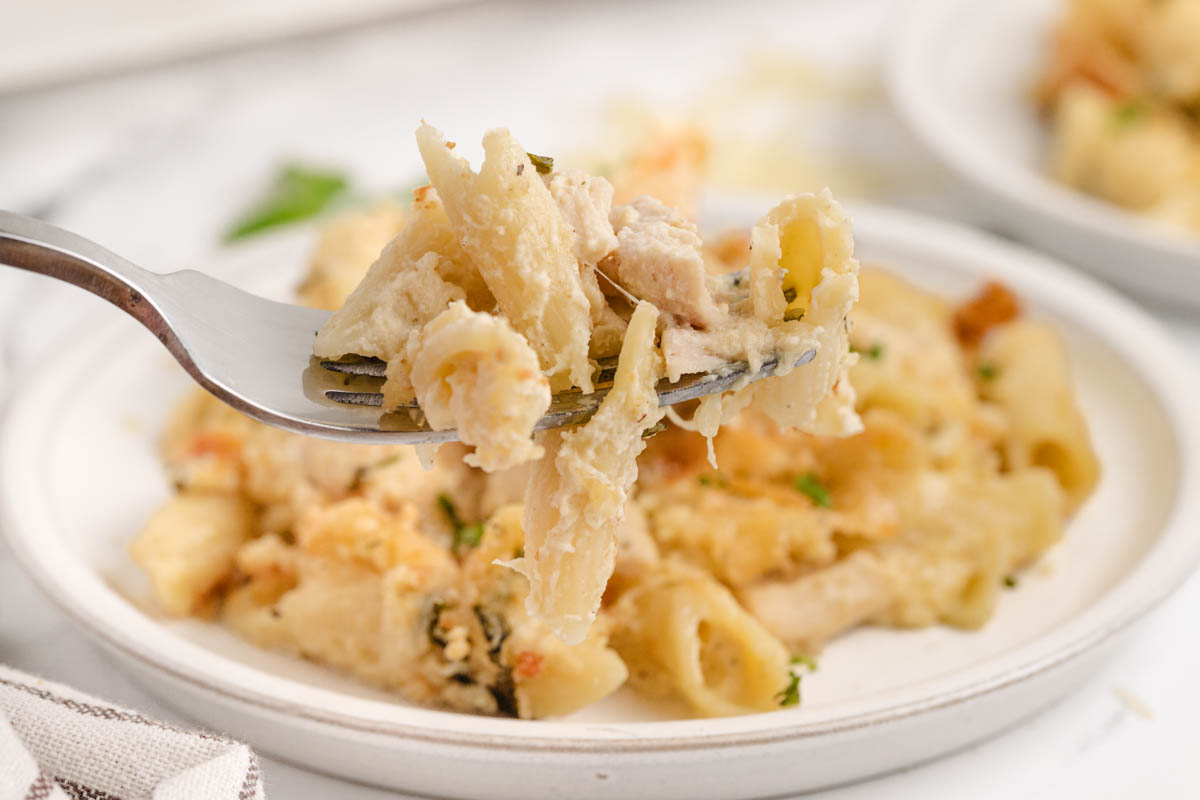 A fork full of pasta with chicken and parmesan.