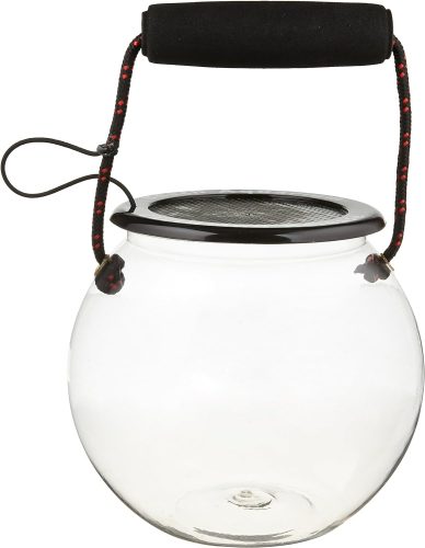 Clear spherical glass lantern with a black handle and a mesh top.