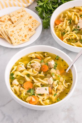 Rotisserie Chicken Noodle Soup - Fun Money Mom