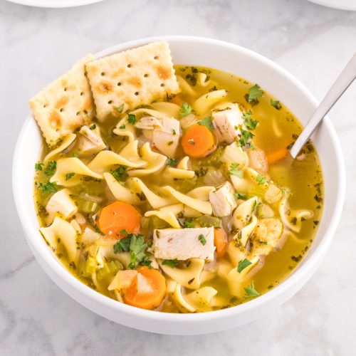 Rotisserie Chicken Noodle Soup - Fun Money Mom