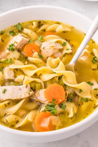 Rotisserie Chicken Noodle Soup - Fun Money Mom