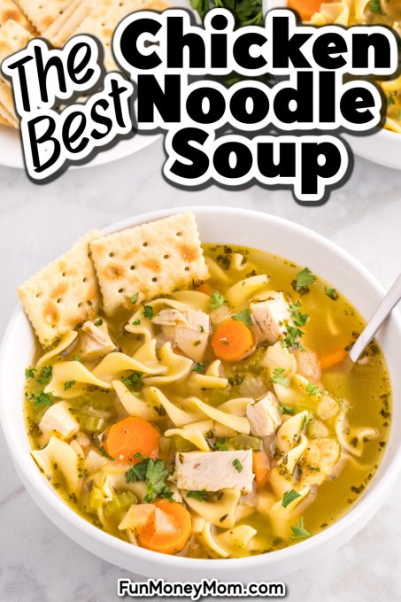 Rotisserie Chicken Noodle Soup - Fun Money Mom