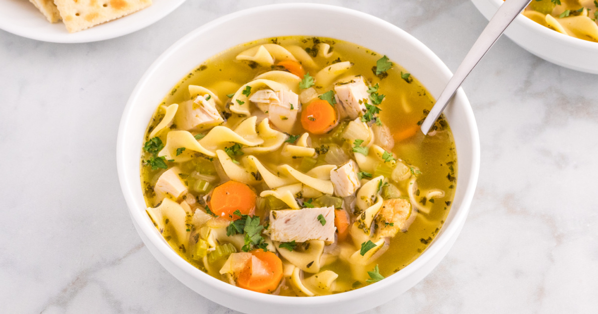 Rotisserie Chicken Noodle Soup - Fun Money Mom