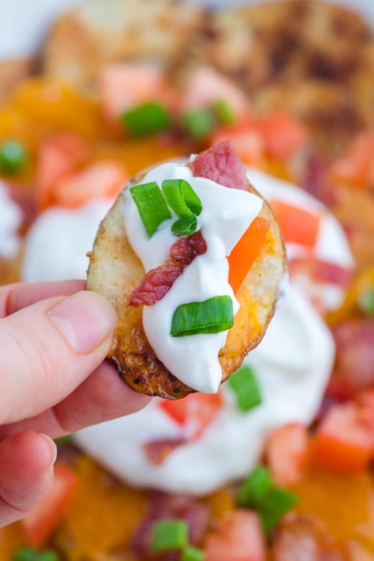 A hand holds a potato slice topped with sour cream, chopped green onions, diced tomato, cheese, and bacon.