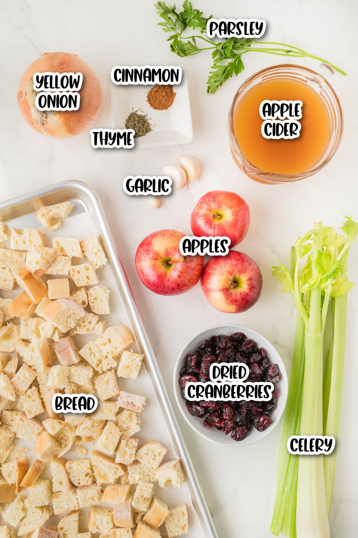 Chopped bread, apples, dried cranberries, celery, yellow onion, parsley, garlic, thyme, cinnamon, and apple cider arranged on a white surface.