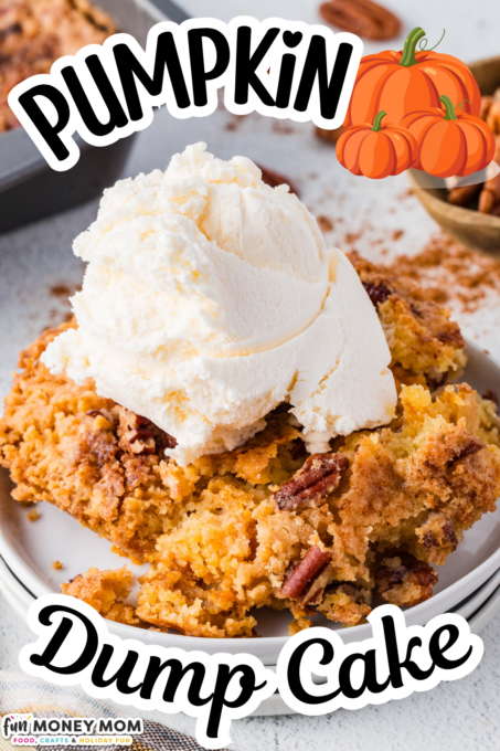 A slice of pumpkin dump cake topped with a scoop of vanilla ice cream on a plate, with pecans and a bowl of nuts in the background. Text on image says “Pumpkin Dump Cake.”.